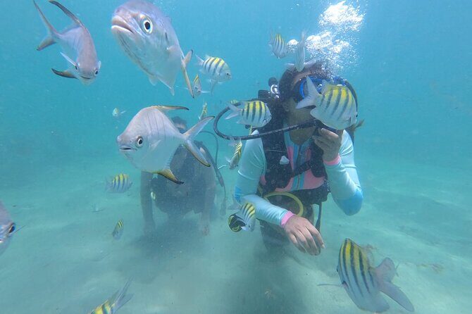 Discover Scuba Diving in San Juan: Perfect for First-Time Divers - Discover Scuba Diving in San Juan: Perfect for First-Time Divers