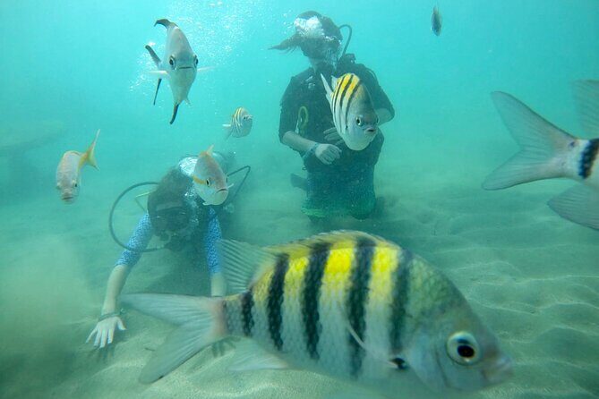 Discover Scuba Diving in San Juan: Perfect for First-Time Divers - In-Depth Review: What to Expect and Why It Matters