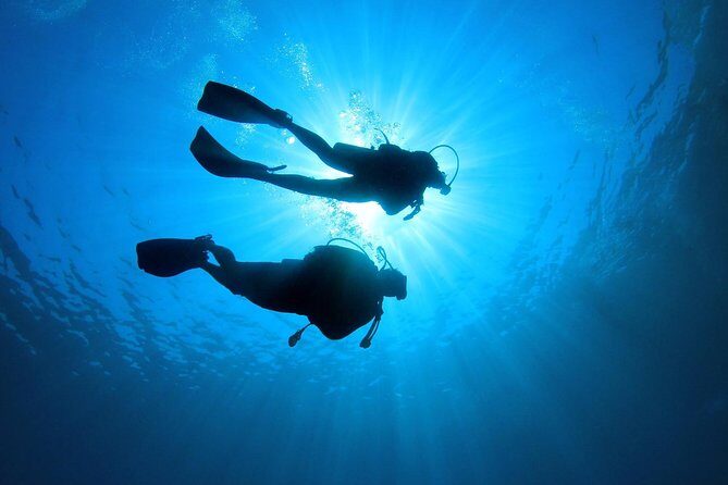 Discover Scuba Diving in Tenerife - An In-Depth Look at Discover Scuba Diving in Tenerife
