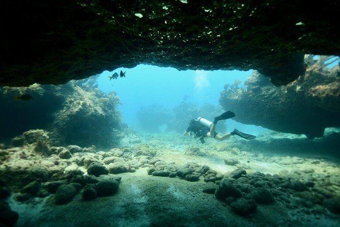 Discover Scuba Diving in Tulum - What’s Included and What’s Not