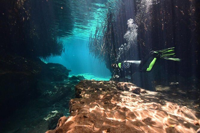 Discover Scuba Diving in Tulum - Photos, Snacks, and Additional Comforts
