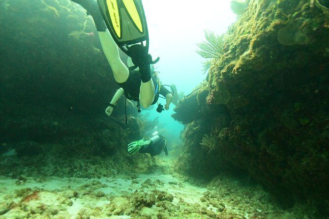 Discover Scuba Diving in Tulum - Authenticity and Personal Touches