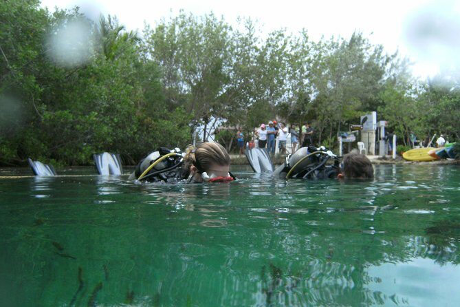 Discover Scuba Diving in Tulum - Who Should Book This Tour?
