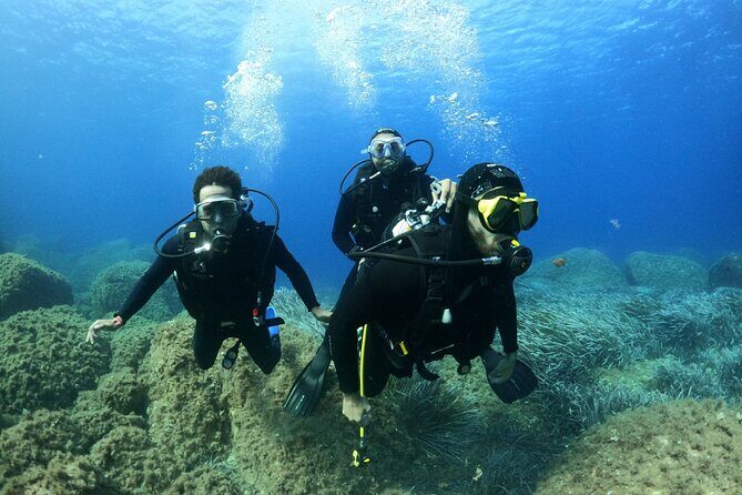 Discover Scuba diving in Villasimius - The Sum Up