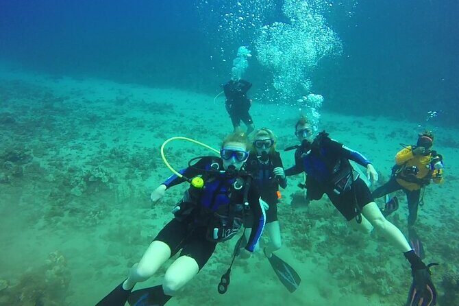 Discover Scuba Diving in Waikiki - Exploring the Details of the Waikiki Discover Scuba Tour