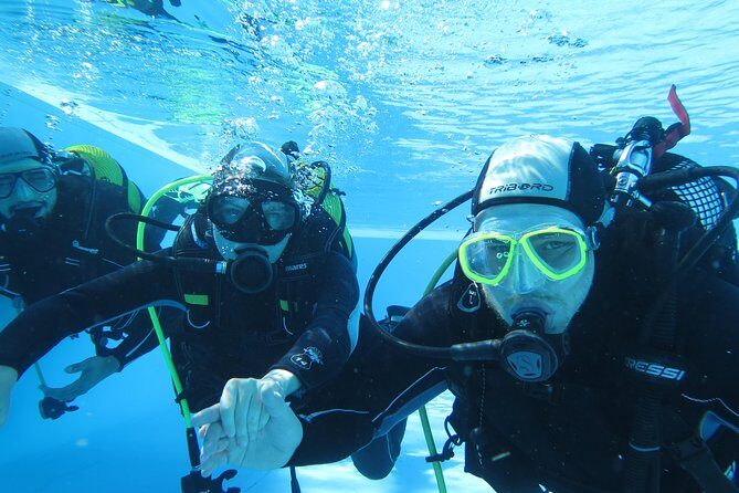 Discover Scuba Diving or Try dive - What to Expect from Your Madeira Discover Scuba Experience