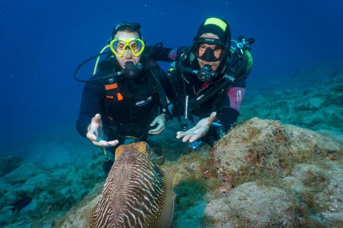Discover Scuba Diving, Playa de las Americas - What Travelers Say: Authentic Experiences and Personalized Care