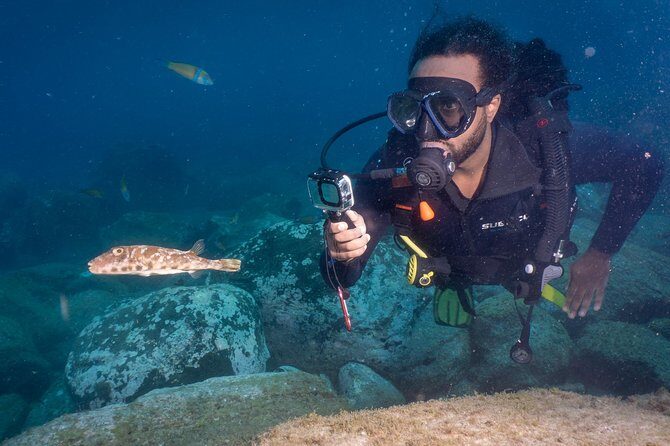 Discover Scuba Diving, Playa de las Americas - Who Should Consider This Tour?