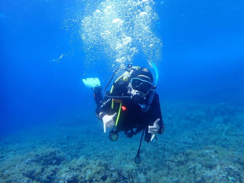 Discover Scuba Diving, scuba diving for begginers!! - Practical Tips for Booking and Enjoying Your Dive