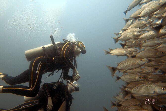 Discover Scuba Diving SSI Mini Course Tamarindo - Key Points
