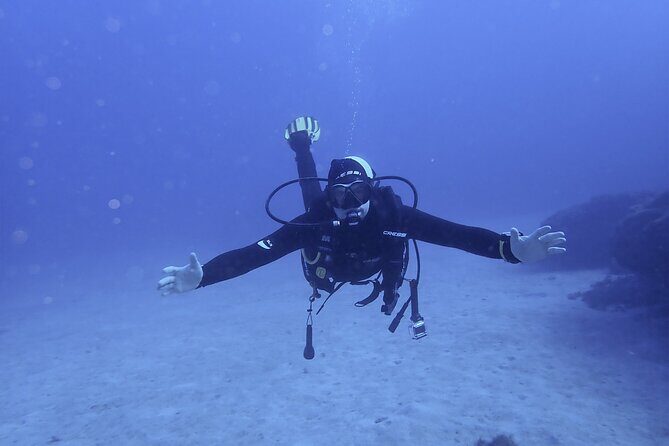 Discover Scuba Diving, Tenerife. Photos and videos included - Key Points