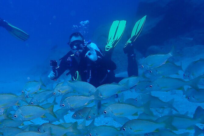 Discover Scuba Diving, Tenerife. Photos and videos included - FAQ