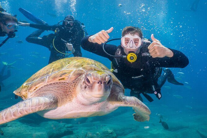 Discover Scuba Diving: Training plus boat dive! - Discover Scuba Diving: Training plus boat dive! – A Practical Guide for Tenerife Travelers
