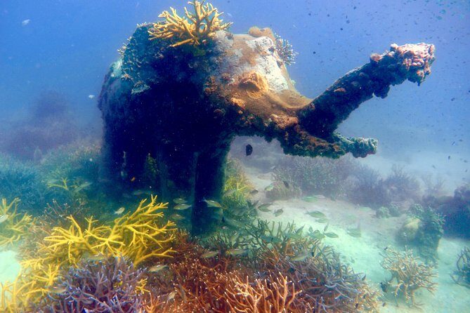 Discover Scuba Diving, try dive for beginners ( Start at Ko Kut) - Key Points