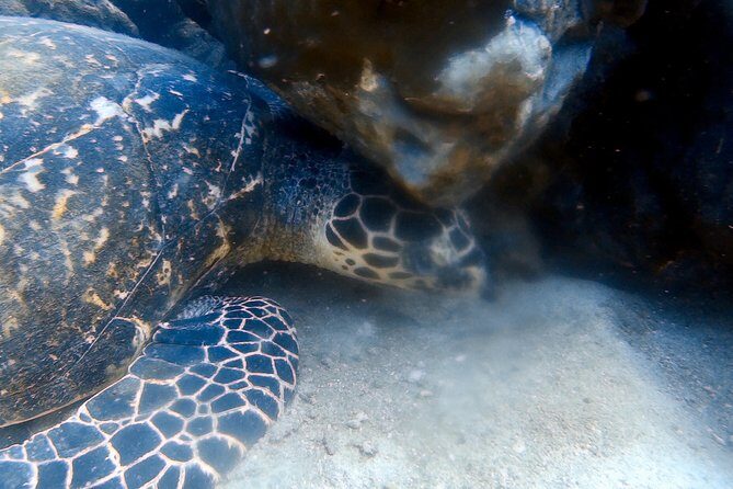 Discover Scuba Diving, try dive for beginners ( Start at Ko Kut) - Authentic Experiences and Authentic Concerns