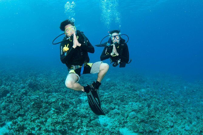 Discover Scuba diving, try diving for beginners (starts from Koh Chang) - Key Points