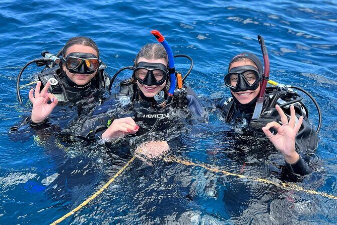 Discover Scuba Diving - Try it for the first time! - Discover Scuba Diving in Tenerife: An Authentic Introduction to Underwater Adventure