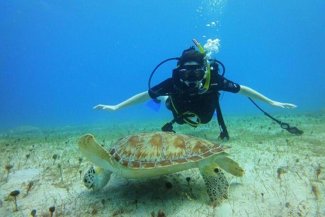 Discover Scuba Diving with No Certification in St Thomas - Key Points