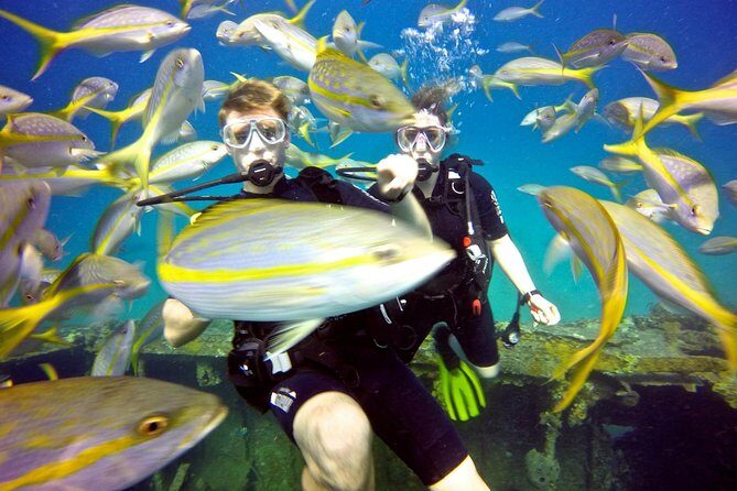 Discover Scuba Diving with No Certification in St Thomas - The Value of This Experience