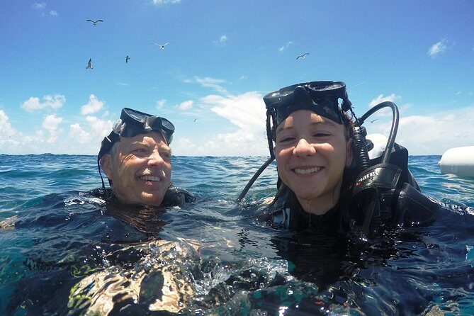 Discover Scuba Diving with No Certification in St Thomas - Authentic Reviews: What Travelers Say