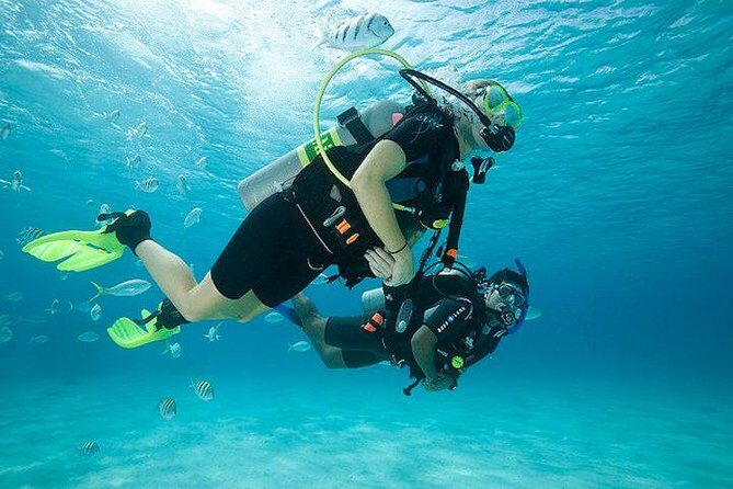 Discover Scuba Diving with two dives in the Ocean in Tenerife with Transfers - Discover Scuba Diving in Tenerife: An Authentic Underwater Adventure