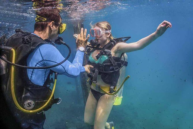 Discover Scuba experience at Las Caletas, Puerto Vallarta - Key Points