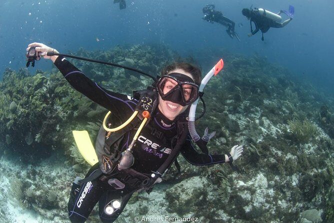 Discover scuba ,MUSA and Manchones reef dive without license - Key Points