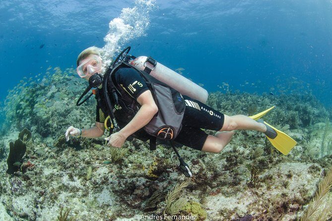 Discover scuba ,MUSA and Manchones reef dive without license - FAQ