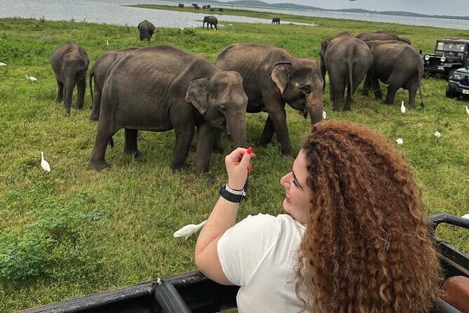 Discover Sigiriya Dambulla and Minneriya Park in Day Tour - Why This Tour Works