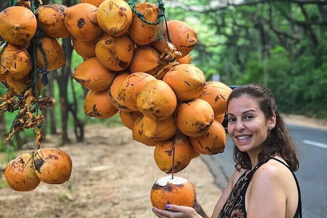 Discover Sigiriya Dambulla and Minneriya Park in Day Tour - FAQ