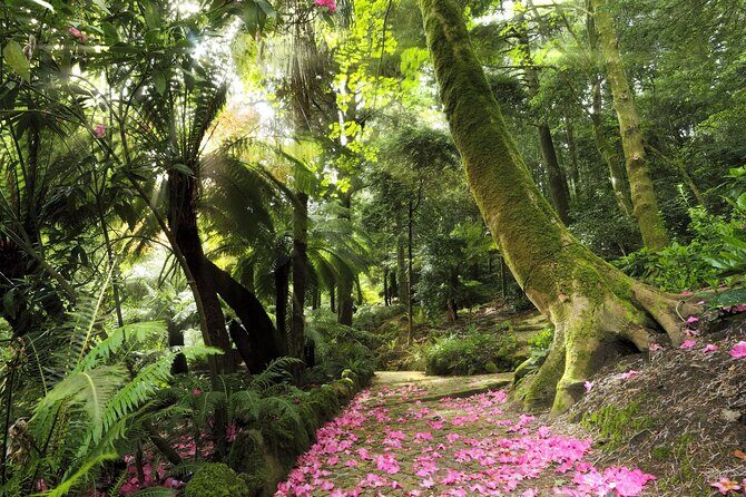 Discover SINTRA`s hidden gems on our walking tour - A Detailed Look at the Sintra Walking Tour
