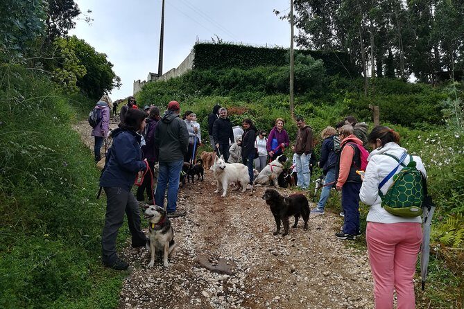Discover Sintra's Hidden Trails: A Unique Hiking Experience - Who Would Love This Tour?