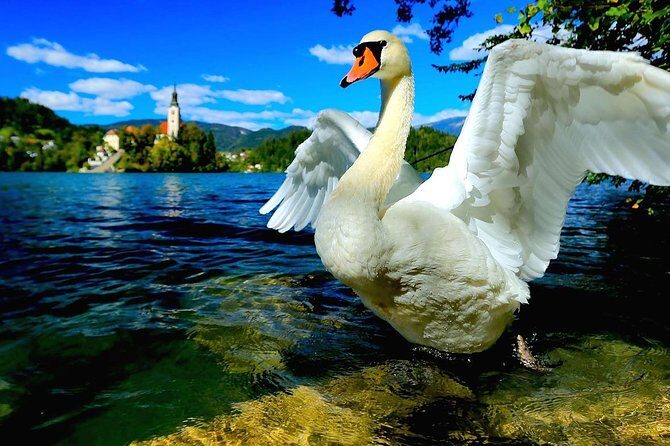 Discover Slovenia: Ljubljana & Bled Lake from Zagreb - What the Tour Entails: A Step-by-Step Breakdown