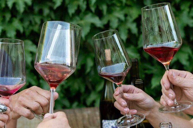 Discover Sonoma's Natural Wineries in Small-Group Tour - An In-Depth Look at the Sonoma Natural Wineries Tour