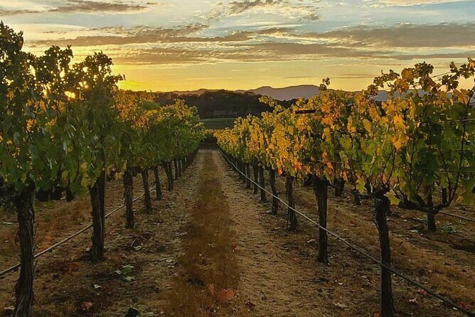 Discover Sonoma's Natural Wineries in Small-Group Tour - FAQs