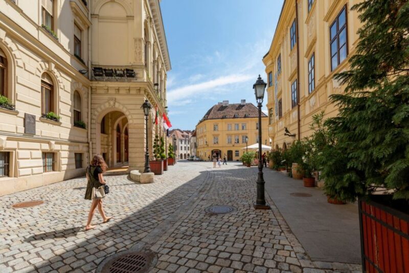 Discover Sopron: Walking Tour of History & Hidden Stories - Who Should Consider This Tour?