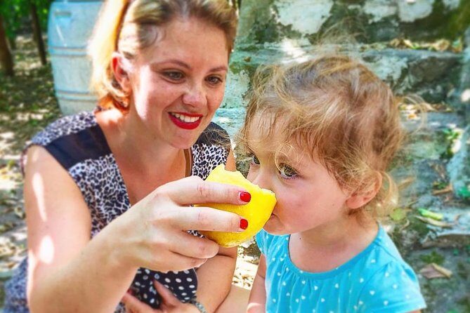Discover Sorrento with food tasting and walking Tour - Key Points