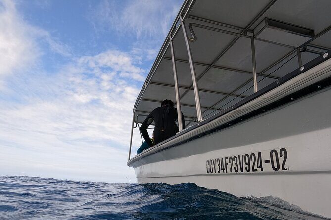 Discover Sosua's Underwater World & Beach Day - Final Thoughts