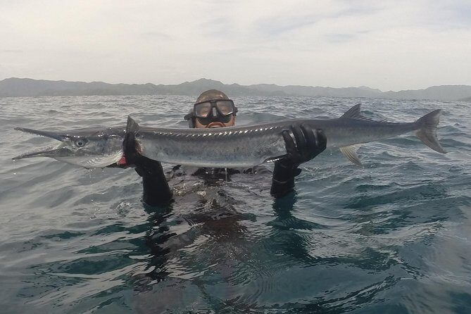 Discover Spearfishing course - Detailed Review of the Discover Spearfishing Course