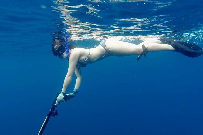 Discover Spearfishing course - FAQ
