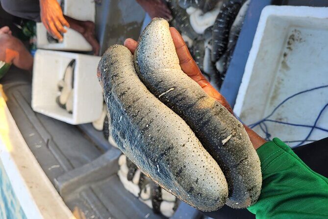 Discover Sri Lankas Unique Marine Farming Culture - Who Should Consider This Experience?