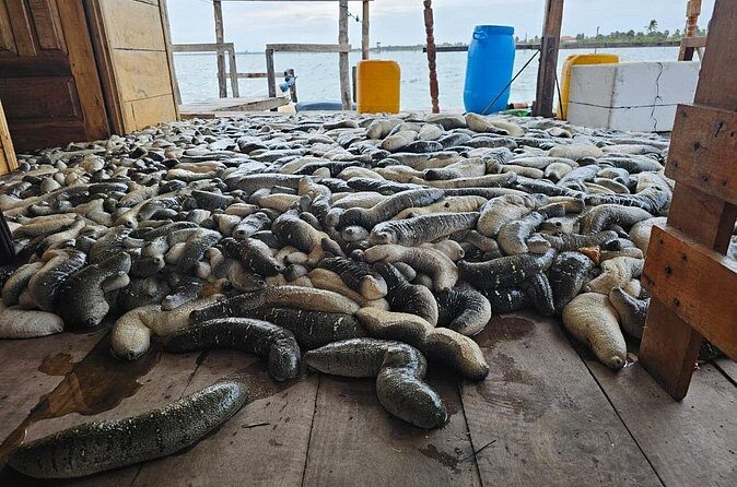 Discover Sri Lankas Unique Marine Farming Culture - Frequently Asked Questions