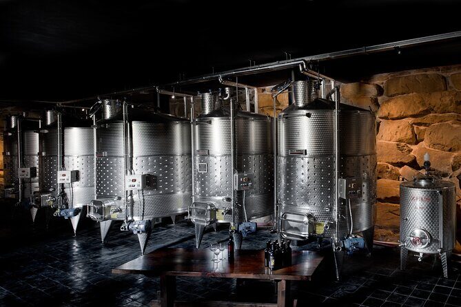 Discover Sustainable Wines in a Guided Tour and Tasting - An Authentic Taste of Tuscany with a Focus on Sustainability