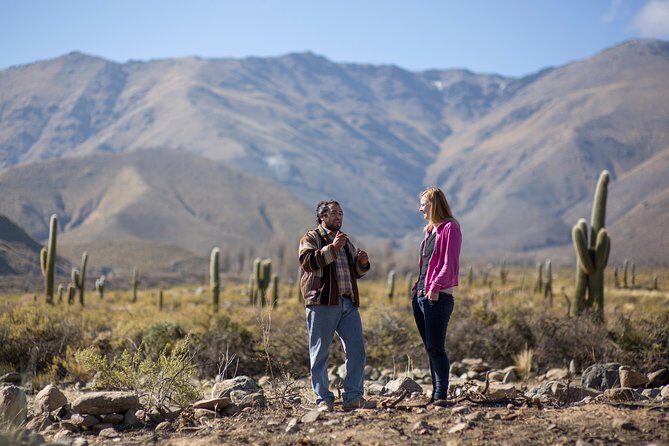 Discover Tafi del Valle: Guided Journey - Key Points