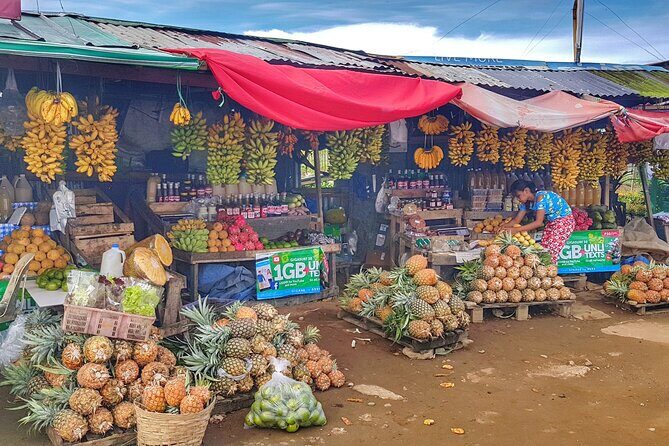 Discover Tagaytay's Countryside: Half-Day Sightseeing Tour - In-Depth Look at the Tagaytay Half-Day Tour