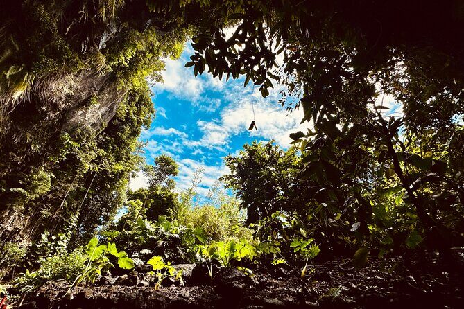 Discover Tahiti Nui, its landscapes and iconic sites. - Final Thoughts
