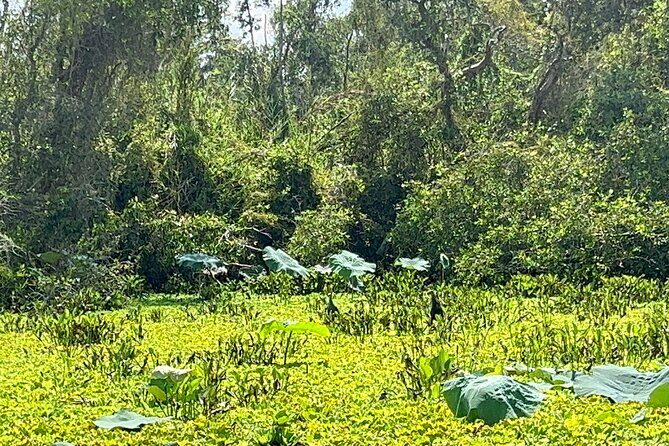 Discover Tan Lap Floating Village: A Tranquil Mekong Delta Escape - Key Points