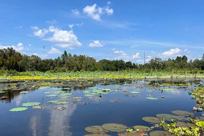 Discover Tan Lap Floating Village: A Tranquil Mekong Delta Escape - The Sum Up