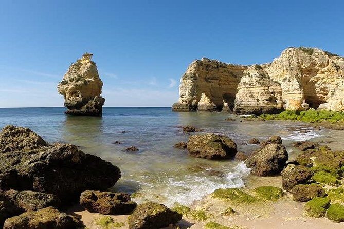 Discover The Algarve Region and The Local Gastronomy - What to Expect at Each Stop