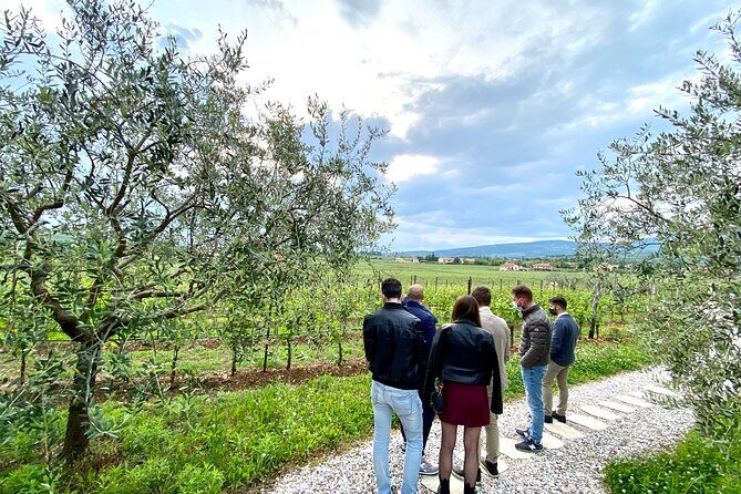 Discover the Amarone wine: 1 winery with delicious food pairing - FAQ